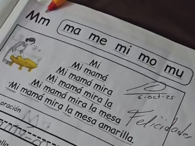 Cargar video: 